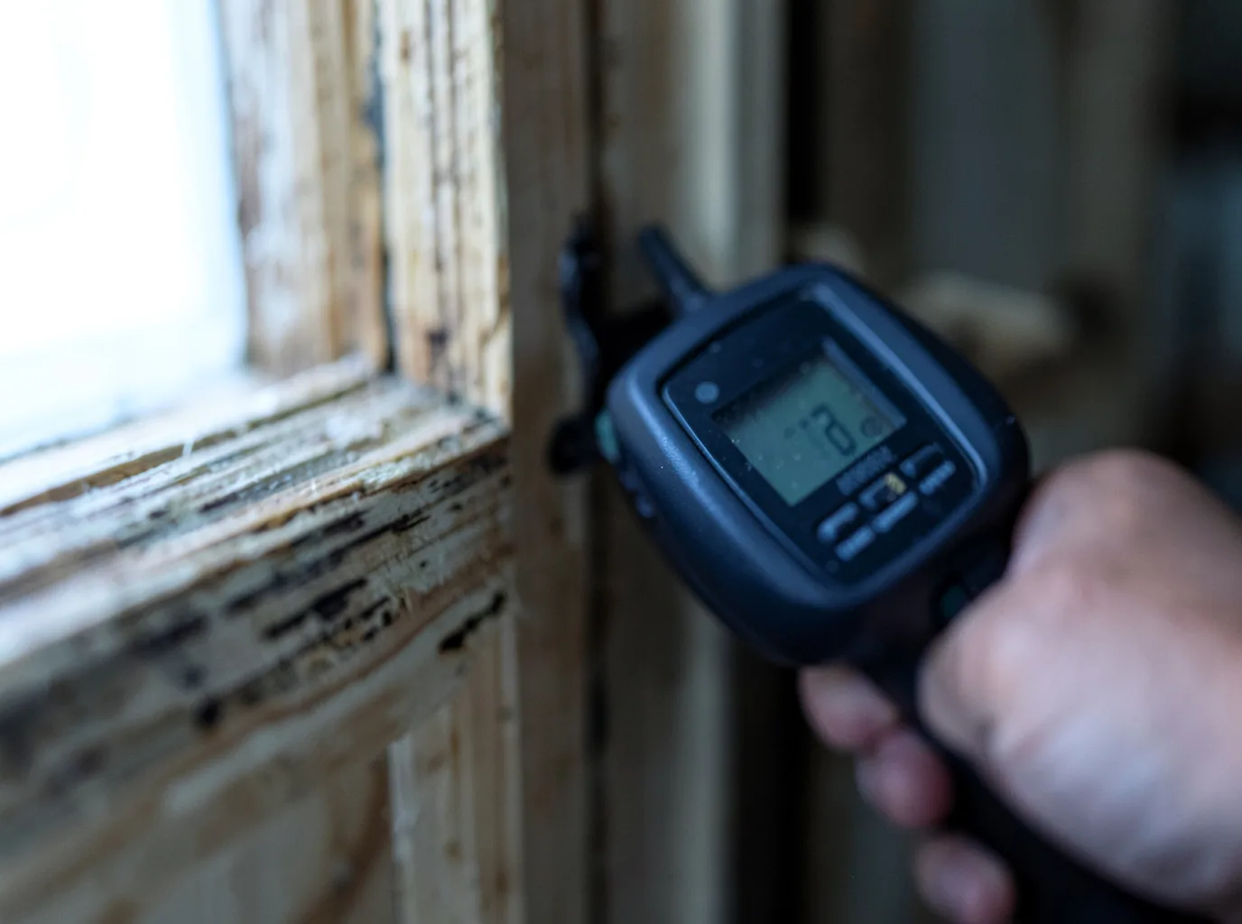 Water Damage Restoration Mineral, WA FAQs